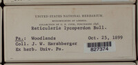 Image Associated With the Occurence